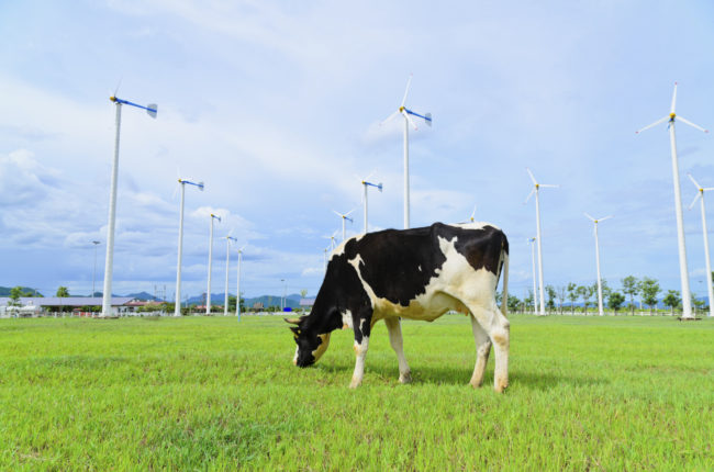 dairy sustainability