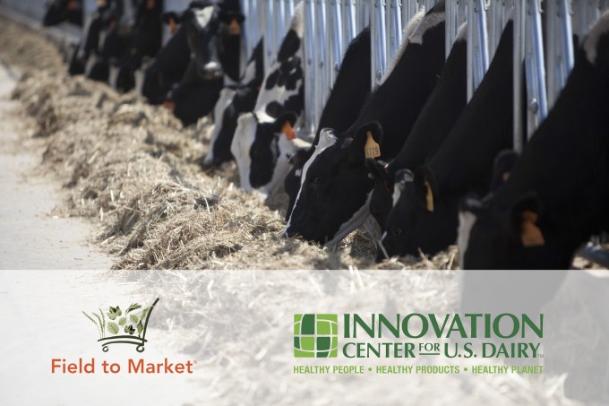 dairy innovation