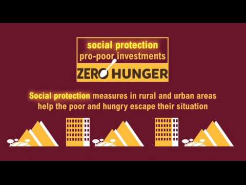 zero hunger