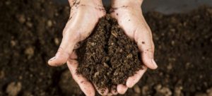soil sustainability