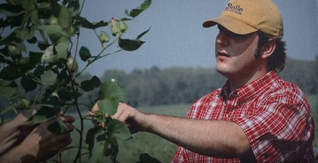 cotton sustainability