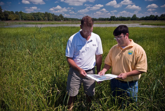 conservation efforts