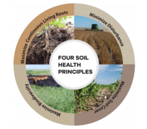 soil environmental sustainability