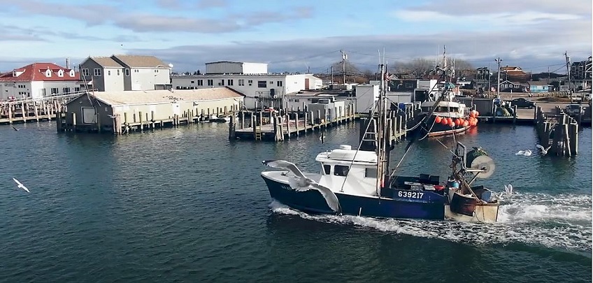 seafood in northeast U.S.