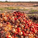 food loss and food waste