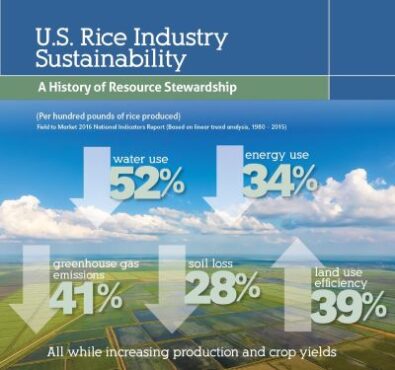 rice sustainability