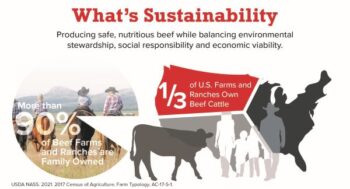 beef sustainability