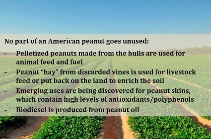 sustainable peanuts