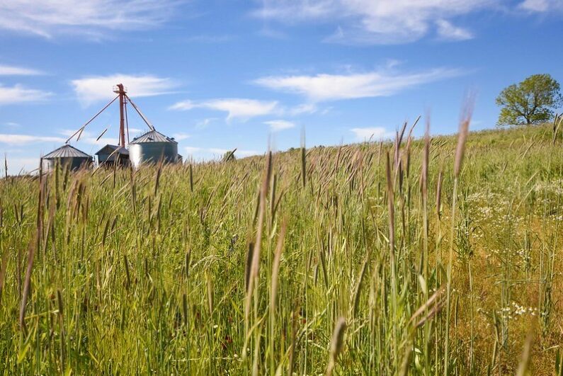 cover crops